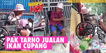 Kondisi Pak Tarno Sekarang, Berjualan Ikan Cupang Di Sisi Jalan Yang Panas - Tertidur Di Kursi Rodanya