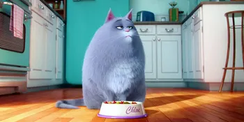 Mengungkap Rahasia Hewan Peliharaan di The Secret of Pets