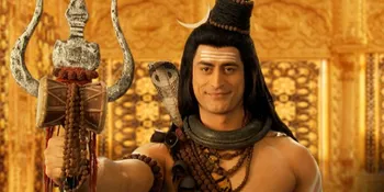 Mohit Raina, Aktor Televisi Termahal di India