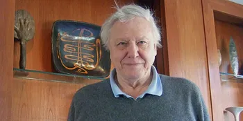 Musik Pop Sangat Seksual, Menurutmu?