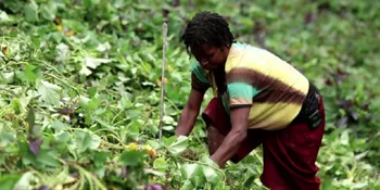 Nia Dinata Suguhkan Film Menyentuh Tentang Wanita Papua