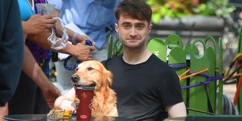 Partner Akting Terbaru Daniel Radcliffe: Delapan Anjing Lucu