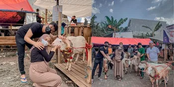 Pertama Kali Rayakan Idul Adha Bareng, Ria Ricis dan Teuku Ryan Kurban Tiga Sapi