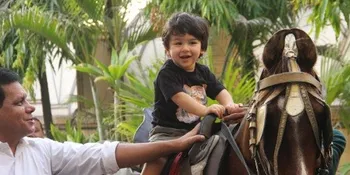 Rayakan Ultah ke-2, Kareena Kapoor dan Saif Ali Khan Ajak Taimur ke Afrika Selatan