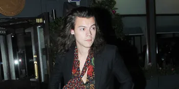 Sebelum Dekat Kendall, Harry Styles Sempat Kencani Pramugari?