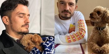 Sedih Banget, Orlando Bloom Bikin Tato Tribut Untuk Anjing Kesayangannya yang Hilang