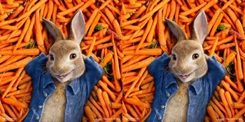 Sinopsis 'PETER RABBIT', Kisah Aksi Kabur Keluarga Kelinci Yang Suka Curi Wortel