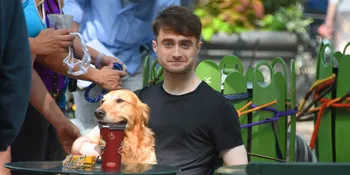 Soal Lanjutan 'HARRY POTTER', Ini Tanggapan Daniel Radcliffe