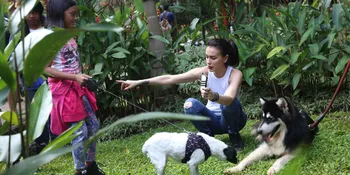 Sophia Mueller Anggap Anjing Seperti Anak-Anaknya