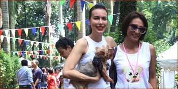 Sophia Mueller Bawa Anjing dan Kucing ke Salon 2 Minggu Sekali