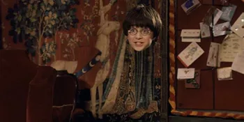 Sst! Jubah Ajaib 'HARRY POTTER' Ternyata Benar-Benar Ada