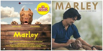 Tayangkan Trailer Di Hari Kasih Sayang, Seekor Anjing Pitbul Jadi Bintang Utama Dalam Film Berjudul 'Marley'