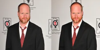 Ternyata Sutradara 'THE AVENGERS' Menyukai Film DC