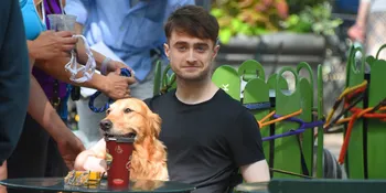 Trailer 'HORNS' Dirilis, Ini Penampakan Si Setan Daniel Radcliffe