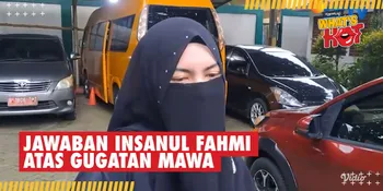 Wardatina Mawa Resmi Gugat Cerai, Insanul Fahmi: Ada Narasi Yang Dibangun