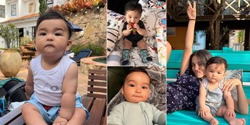 7 Potret Baby Aizen, Anak Vanessa Lima dan Erick Iskandar yang Makin Ganteng dan Bulat Menggemaskan