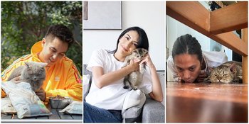 7 Potret Selebriti Bareng Kucing Kesayangan, Punya Nama Unik - Bikin Gemas Netizen!