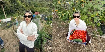 Berkebun dan Panen Tomat, Berikut 8 Potret Seru Isyana Sarasvati Liburan di New Zealand