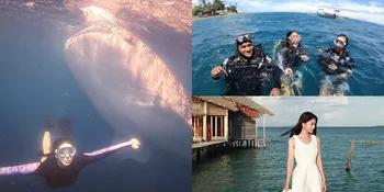 Diving di Pulo Cinta Gorontalo, Karenina Sunny Bertemu Hiu Paus!