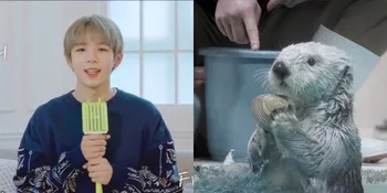 Gantengnya Gemesin, Ini 7 Potret Kemiripan Shotaro NCT dan Berang-berang Imut