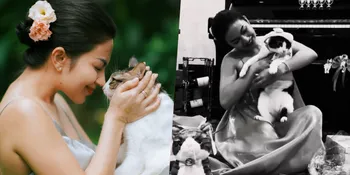 Potret Ariel Tatum Rayakan Ultah Kucing Kesayangan, Ada Kue Ultah Hingga Puluhan Kado