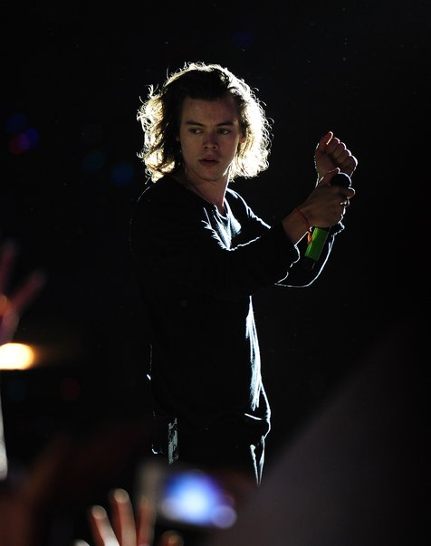 Harry Styles terinspirasi dengan semua hal yang dilakukan Adele © TPG Images