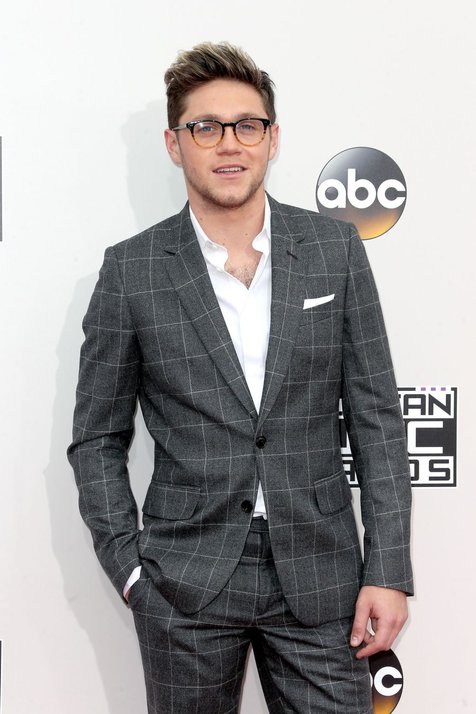 Niall Horan menyoroti anggapan orang-orang yang mendiskreditkan One Direction © AFP