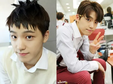 Dino Seventeen