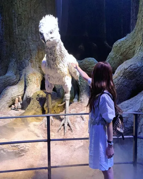 Melihat Buckbeak