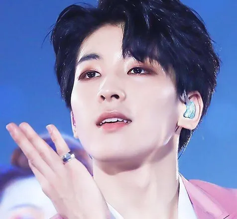 Wonwoo Seventeen
