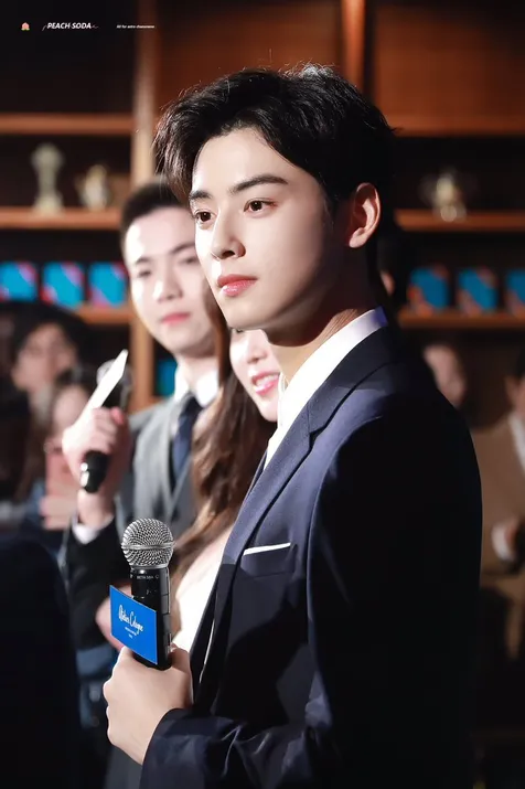 Cha Eun Woo