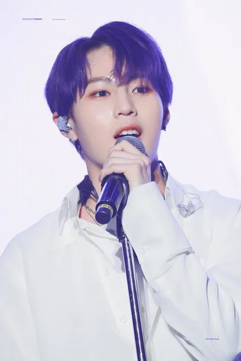 Ha Sungwoon