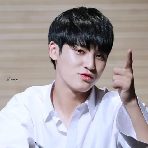 Mingyu SEVENTEEN