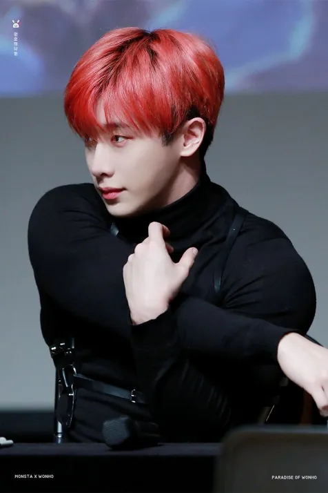 Wonho Monsta X