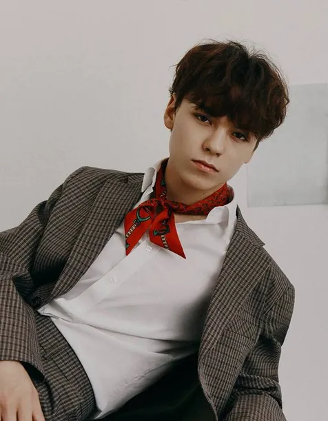 Vernon SEVENTEEN