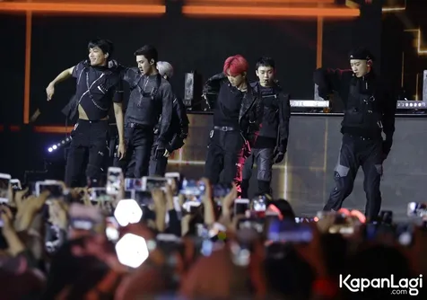 Disambut Heboh oleh Fans