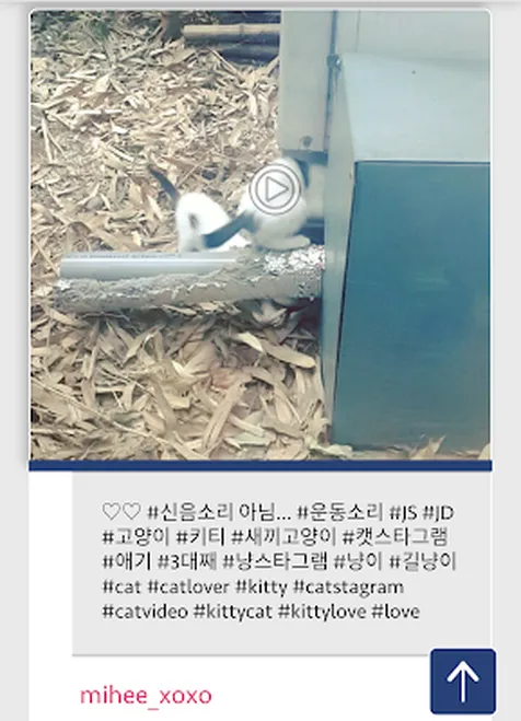 Pernah Upload Video Ada Suara Chen
