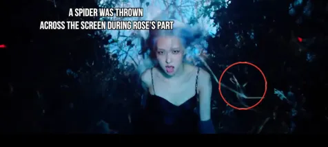 Ada laba-laba yang dilemparkan di salah satu scene Rose.