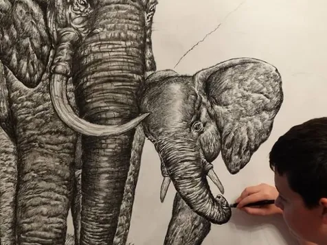 Unduh 530 Gambar Gajah Arsir Terbaru Gratis HD