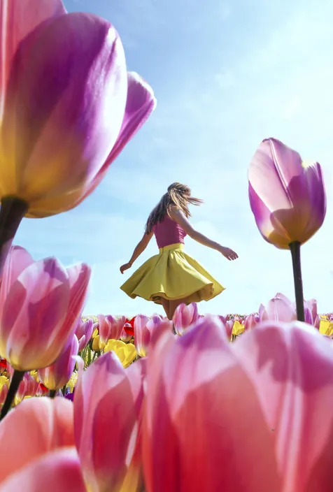Foto Begini Pemandangan Cantik 7 Juta Bunga Tulip Di Belanda M Kapanlagi Com