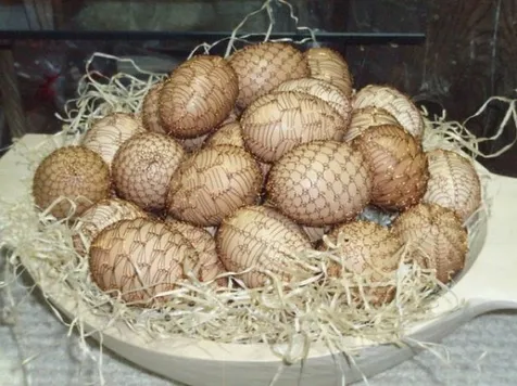 Unik, Kumpulan Telur Paskah Dari Berbagai Negara Plus Unik, Kumpulan Telur Paskah Dari Berbagai Negara Plus