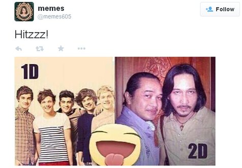 1D vs 2D © memes/twitter