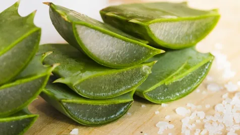 Gunakan Gel Lidah Buaya