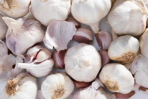 Cara Membasmi Tungau dengan Bawang Putih