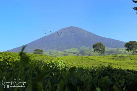 Gunung Dempo