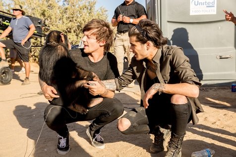 Louis, Zayn dan monyet lucu dalam klip Steal My Girl ©digitalspy