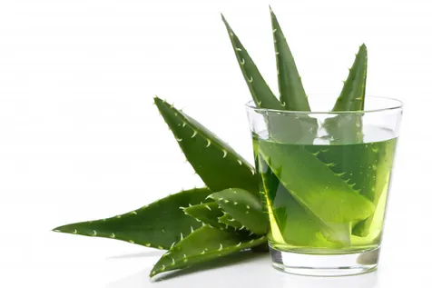 Gel Lidah Buaya