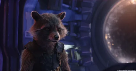 Rocket Racoon