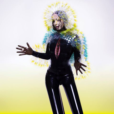 Bjork © Bjork Official Facebook