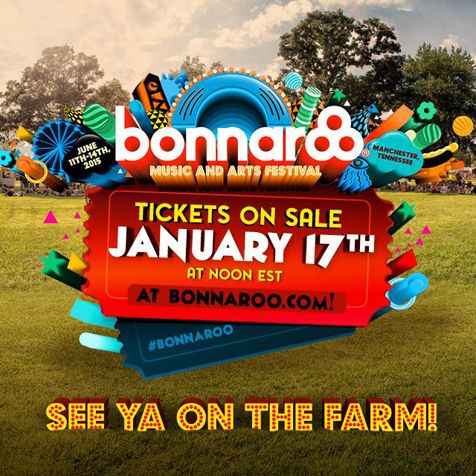 Bonaroo Music and Art Festival © Mumfoed and Sons Official Facebook